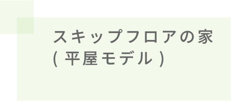スキップフロアの家(平屋モデル)