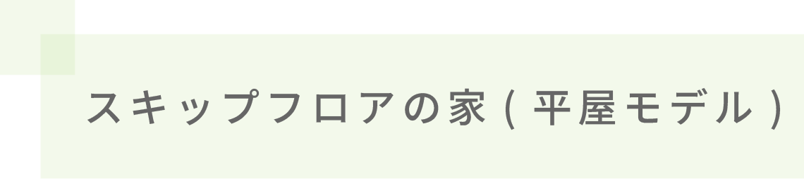 スキップフロアの家(平屋モデル)